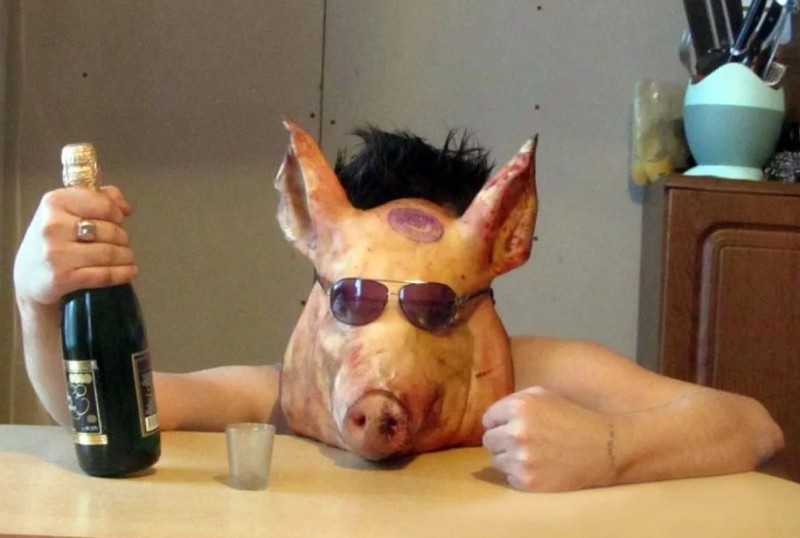 Создать мем: крутая свинья, поросенок пьет, свинья