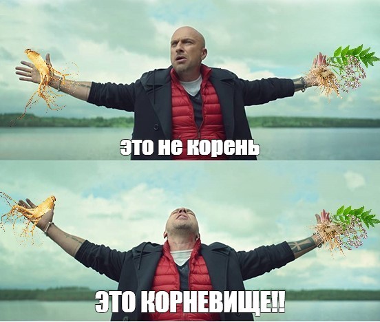 Create meme: bezlimita meme, Nagiev memes, Maritime Nagiyev