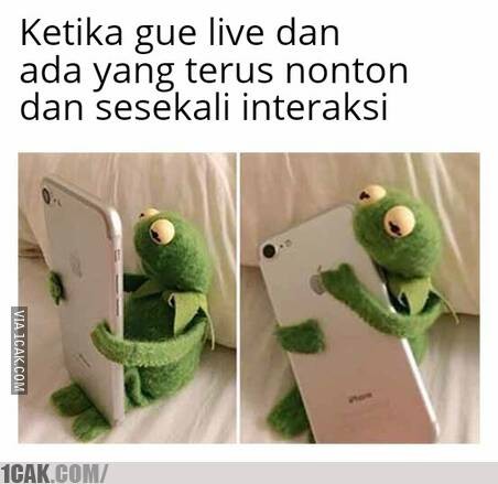 Create meme: kermit the frog with the phone, Kermit the frog , Kermit 