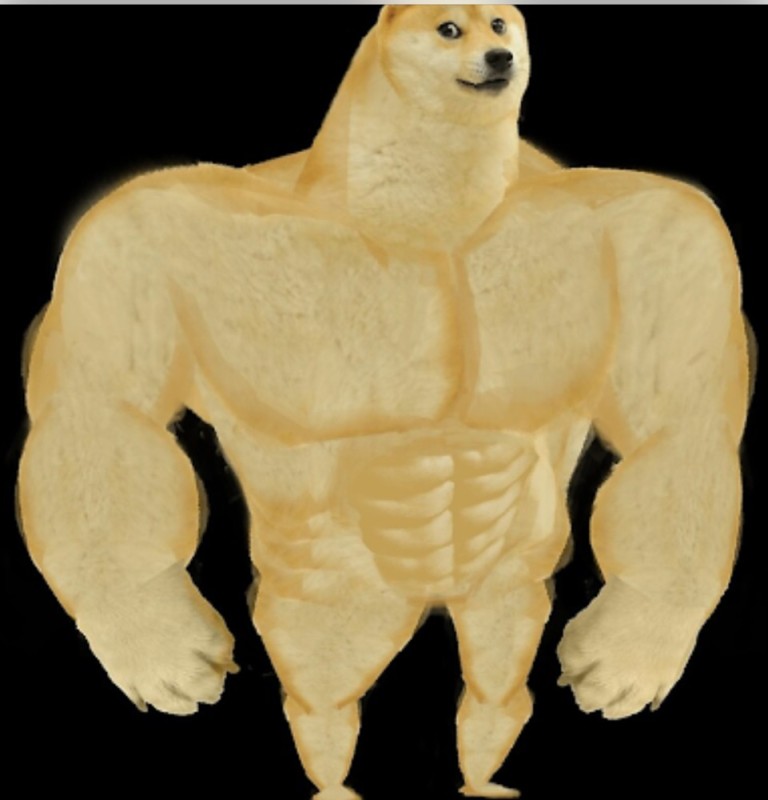 Create meme: pumped up dog meme, dog Jock, Jock the dog