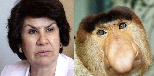 Создать мем: обезьяна с носом, макака носач, обезьяна с длинным носом