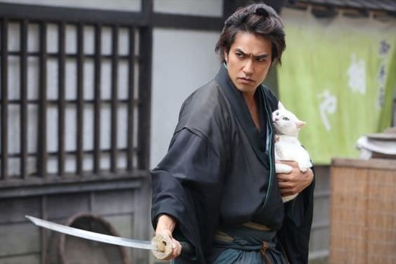 Create meme: samurai and cat, samurai cat 2014, Kazuki Kitamura the cat and the samurai