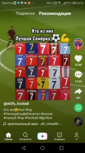 Create meme: football, football League, a screenshot of the game