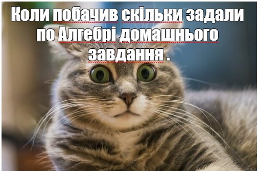 Создать мем: смешные коты, анекдоты про котов, мем кот