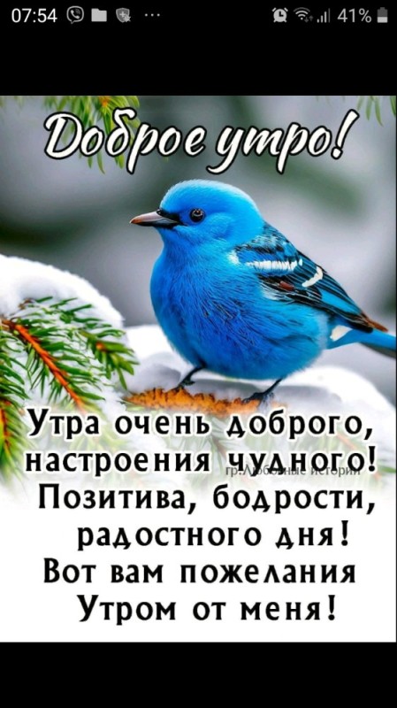 Создать мем: с добрым утром, открытки доброе утро, с добрым утром с птицами