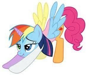 Create meme: pony , friendship is a miracle, fluttershy and rainbow dash