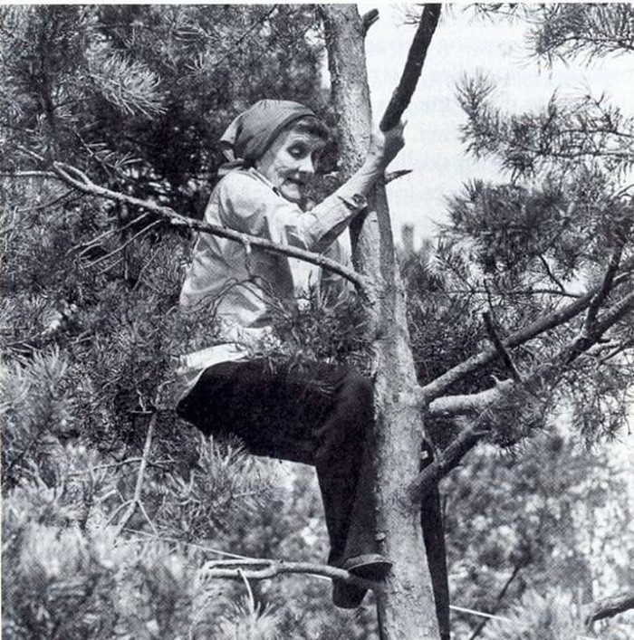 Create meme: Astrid Lindgren on a tree, Astrid Lindgren, Astrid Lindgren climbs trees