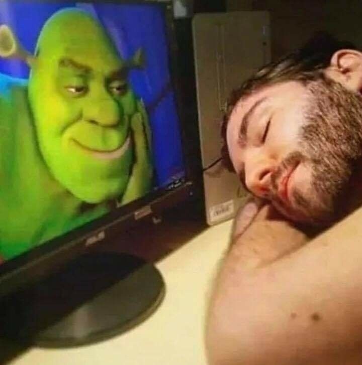 Create meme: Shrek funny, cool VIDOS , meme Shrek 