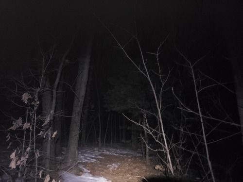 Create meme: night in the forest, a night in the winter forest, in the winter forest
