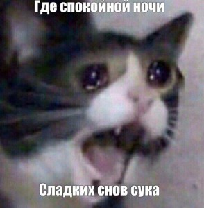 Create meme: the crying kitten meme, cat meme, cat crying meme