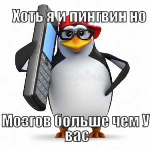 Создать мем: мемы с пингвином алло, мемы, пингвин алло
