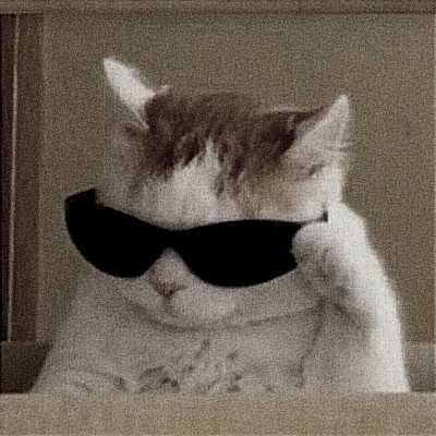 Создать мем: кот с очками мем, крутой кот мем, кот в пиксельных очках мем