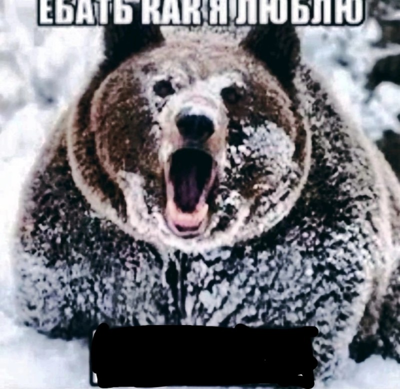 Create meme: bear bear, grizzly bear , brown bear connecting rod