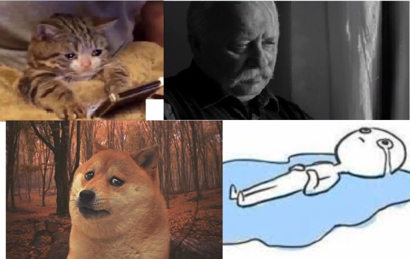Создать мем: пес мем, осень мем, грустный doge
