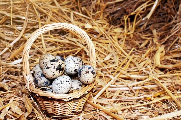 Create meme: quail eggs, quail eggs, farm quail egg