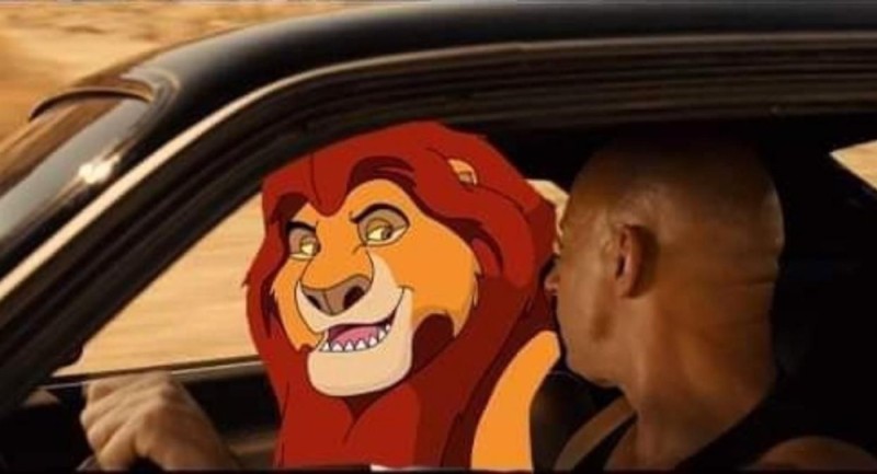 Create meme: Vin Diesel family fast and furious meme, Mufasa the lion king, The fast and the furious meme family