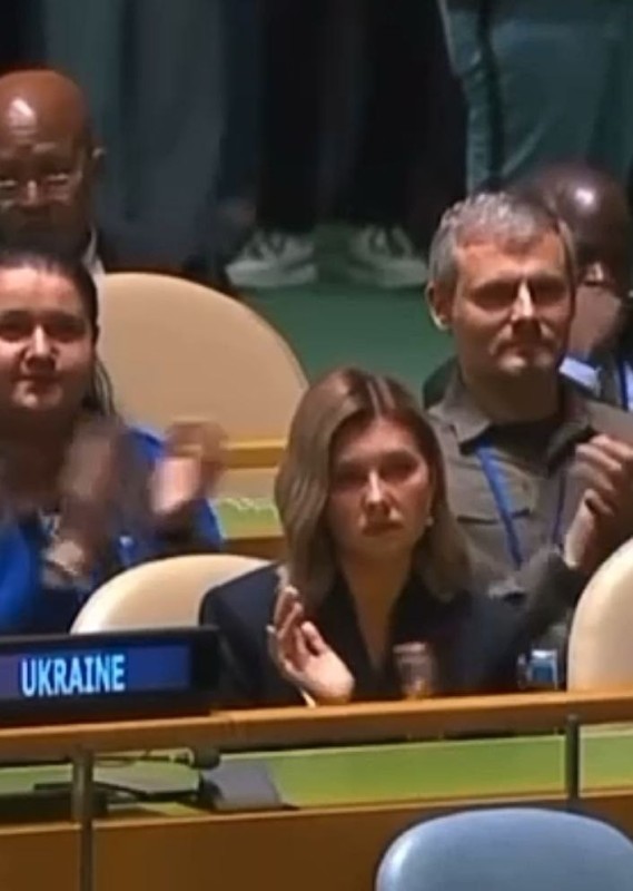 Create meme: Russian journalists , the UN security Council , the UN General Assembly