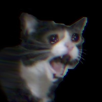 Create meme: screaming cat , cat with tears, cat crying meme