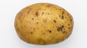 Create meme: potatoes APG, potato png, potatoes one picture