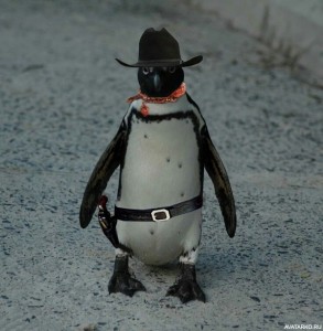 Создать мем: пингвин ковбой, упоротый пингвин, злой пингвин