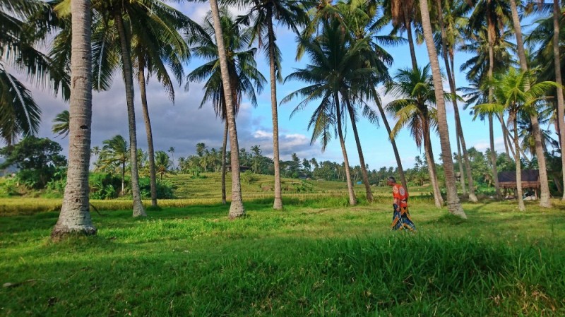 Создать мем: остров бали сари, вьетнам для туристов, природа