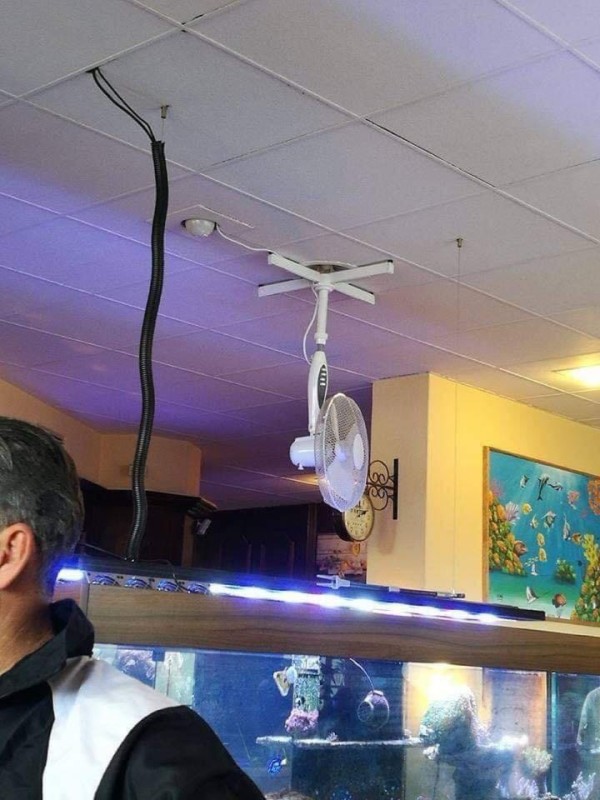 Создать мем: рифовый аквариум, rs90 светильник для морского аквариума, аквариум