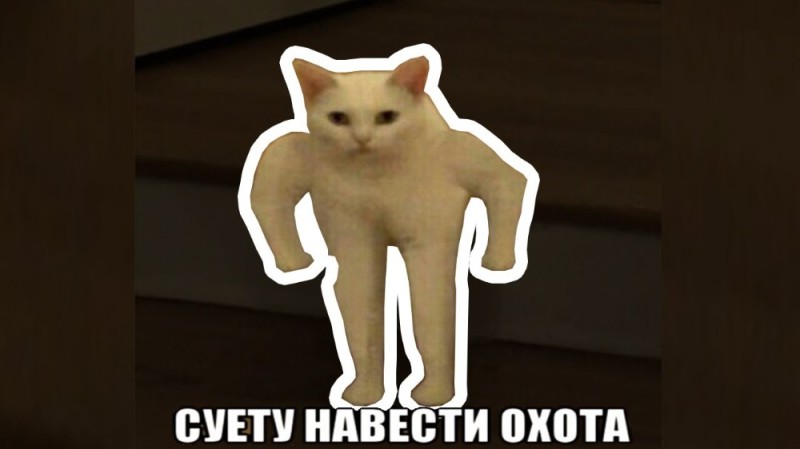 Создать мем: мем кот с фигурой, кот на ножках мем, кот блэт