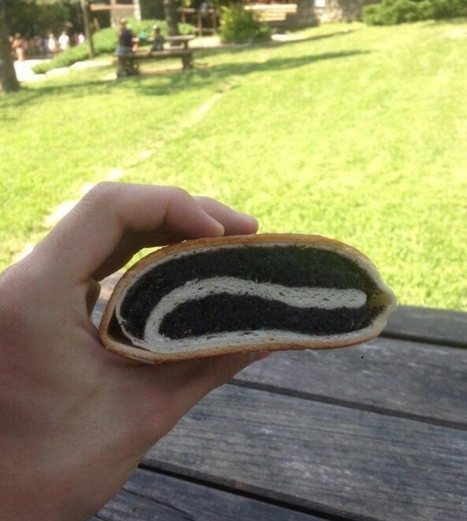 Create meme: poppy seeds with a bun, bread with poppy seeds, The poppy seed bun is funny