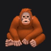 Create meme: monkey animals, gorilla
