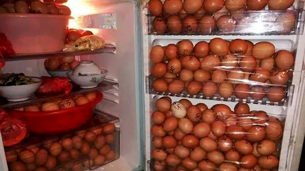 Create meme: A fridge full of eggs, Eggs are in the fridge, shelf life of eggs in the refrigerator