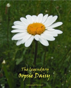 Create meme: Daisy, daisy, Daisy flower