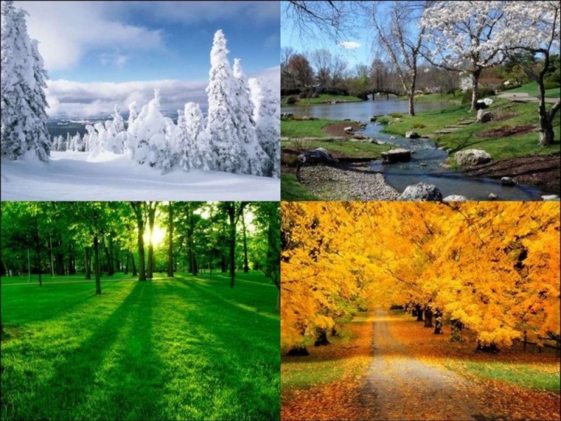 Create meme: Presentation of the seasons, seasons winter spring summer autumn, summer autumn winter