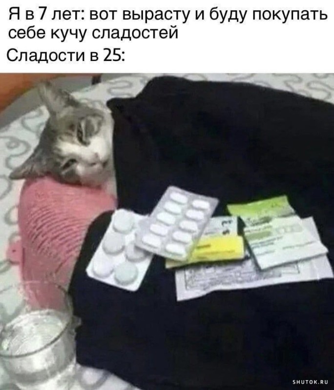 Создать мем: котики, кот и валерьянка прикол, болеющий кот