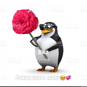 Создать мем: пингвин с цветком мем, пингвин мем, пингвин с цветами