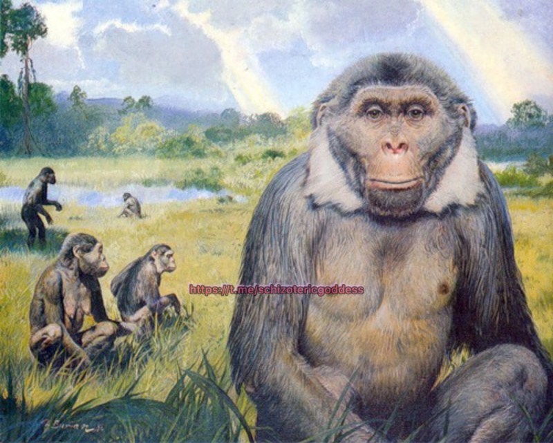 Create meme: ramapitek, Dryopithecus Ramapithecus Australopithecus, Ramapithecus Australopithecus