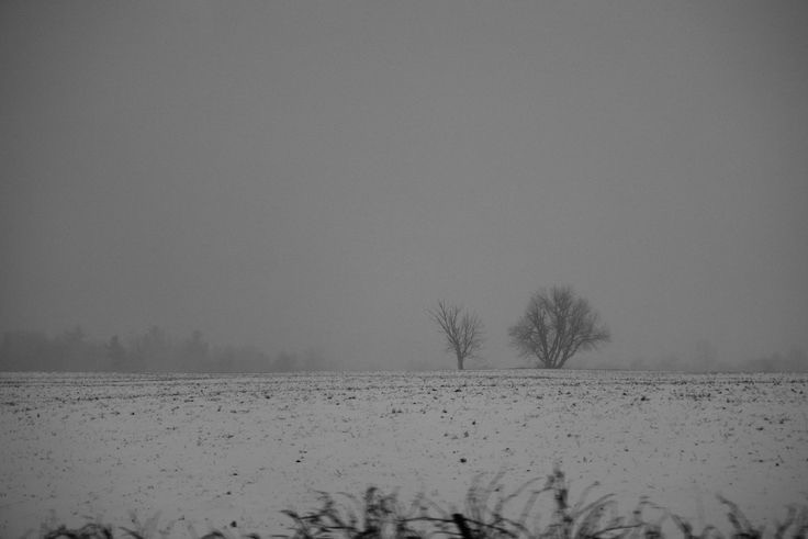 Create meme: lonely landscape, a snow-covered field, black and white landscape