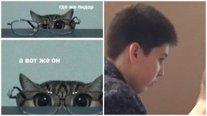 Create meme: cats, glasses, Cat