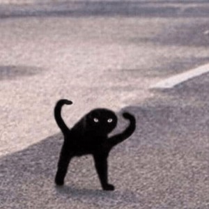 Create meme: black cat meme, black cat joy, black cat meme joy