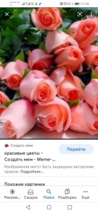 Создать мем: красивые розы, цветы красивые цветы, розы красивые цветы