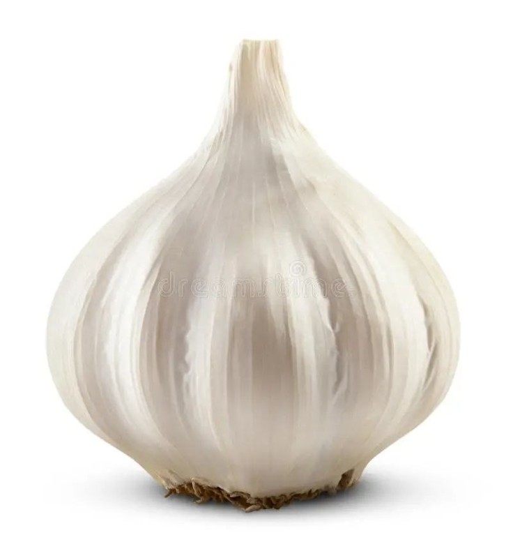 Create meme: garlic, garlic on a white background, genitals