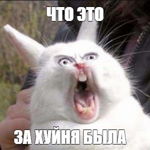 Создать мем: кричащий кролик, орущий заяц, кролик злой