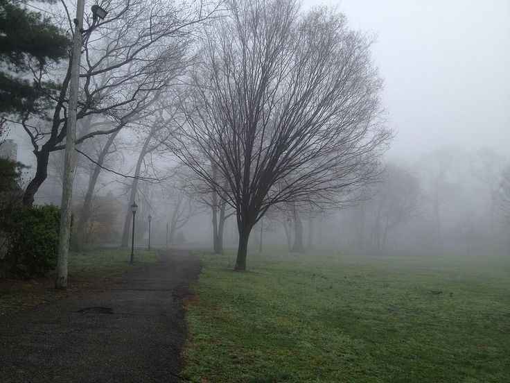 Создать мем: туман густой, утро в парке, туман