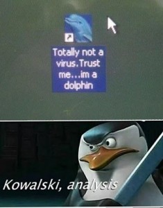 Create meme: Kowalski options meme, Kowalski meme