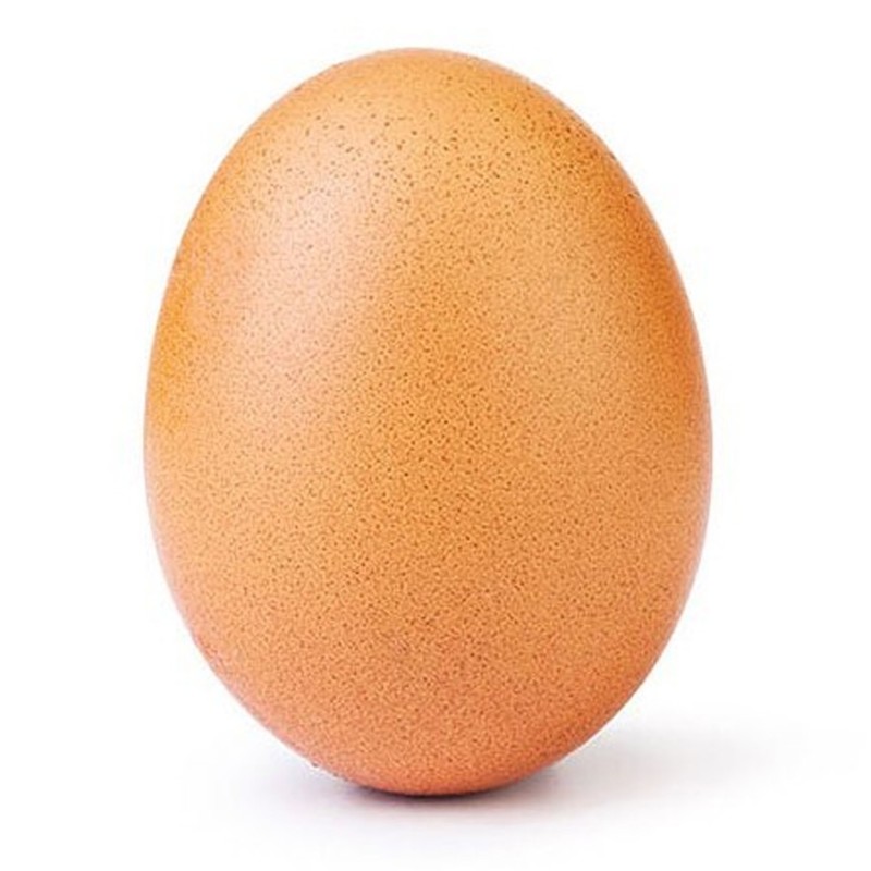 Create meme: bald streamers, creator of world record egg, raw egg