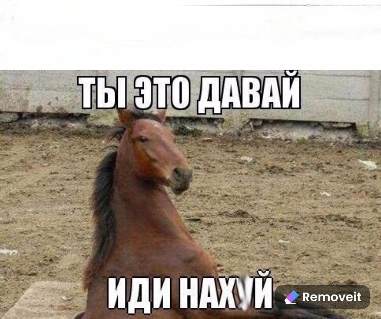 Create meme: Come on you go horse, meme horse , horse meme