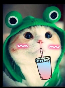 Create meme: cute cats , a cat in a frog costume, ava cute cats