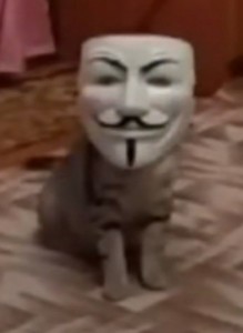 Создать мем: анонимус анонимус, мем кот анонимус, кот анонимус