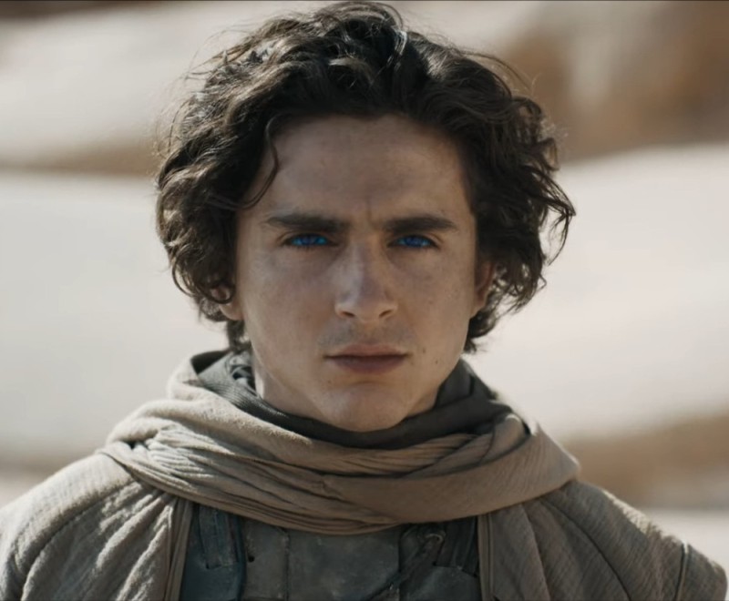 Create meme: Timothy Chalamet Dune, timothy chalamet, Paul Atreides