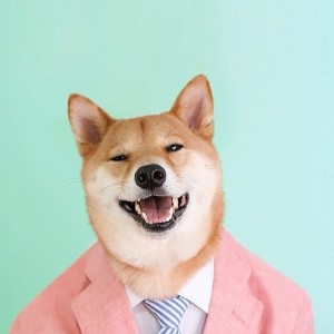 Create meme: dog OK meme, Shiba inu, dog dapper