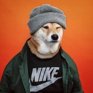 Создать мем: shiba inu dog, собака в шапке мем, крутые собаки